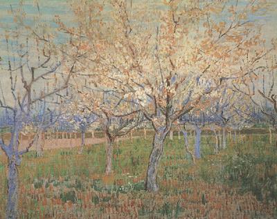 Vincent Van Gogh Orchard with Blossoming Apricot Trees (nn04)_ Germany oil painting art